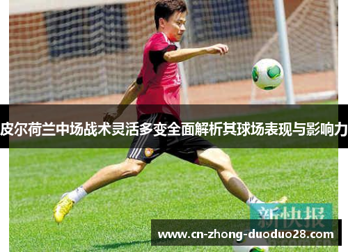 皮尔荷兰中场战术灵活多变全面解析其球场表现与影响力